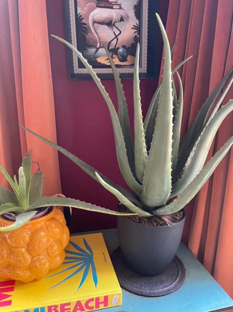 Xl Aloe vera kunstplant, Ophalen, Nieuw