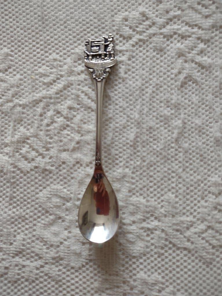 lepeltje kaasdag, Ophalen of Verzenden, Rvs of Chroom