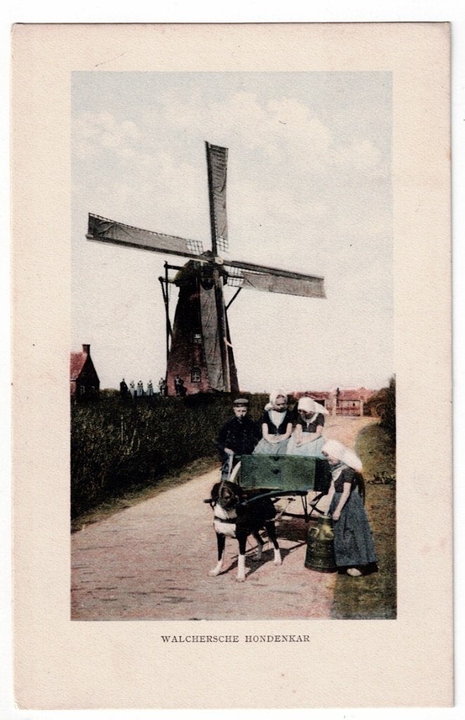 Walcheren. In klederdracht met de Hondenkar (molen)., Ophalen of Verzenden, Voor 1920, Ongelopen, Zeeland