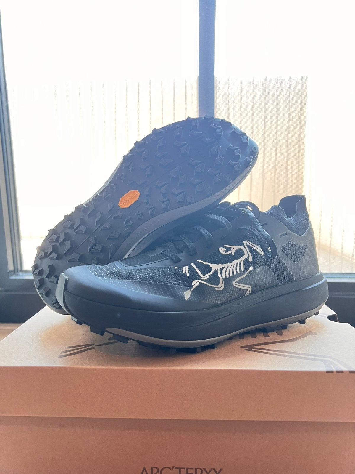 Arc’teryx Sylan Pro M, Ophalen, Nieuw, Sportschoenen, Zwart