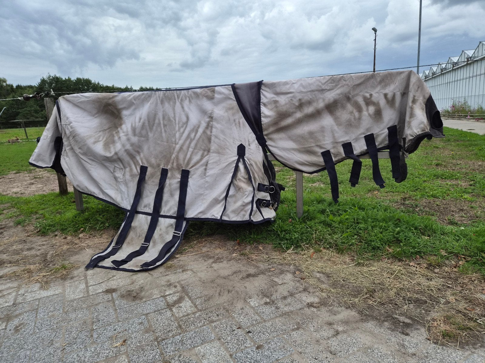Eczeemdeken horsegear 185, Dieren en Toebehoren, Ophalen of Verzenden