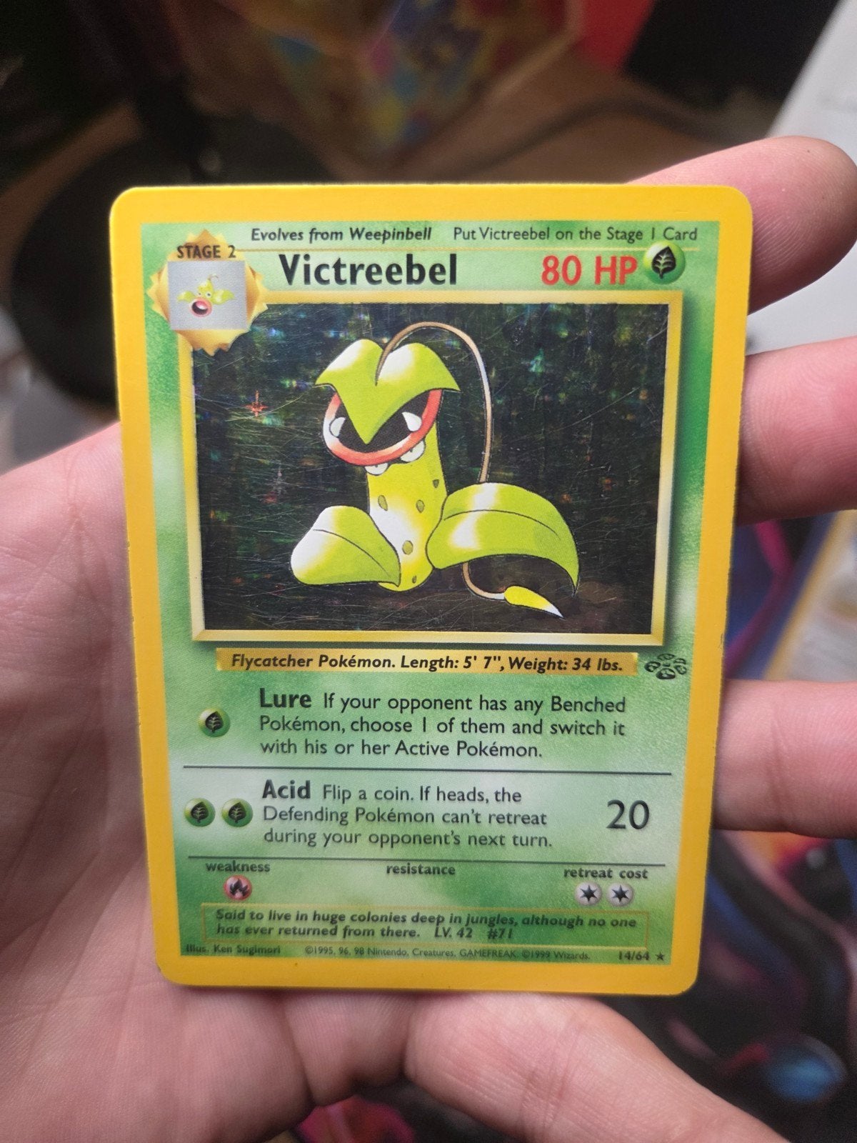 Victreebel 14/64 Holo Jungle 1999 Wizards of the coast, Hobby en Vrije tijd, Verzamelkaartspellen | Pokémon, Ophalen of Verzenden