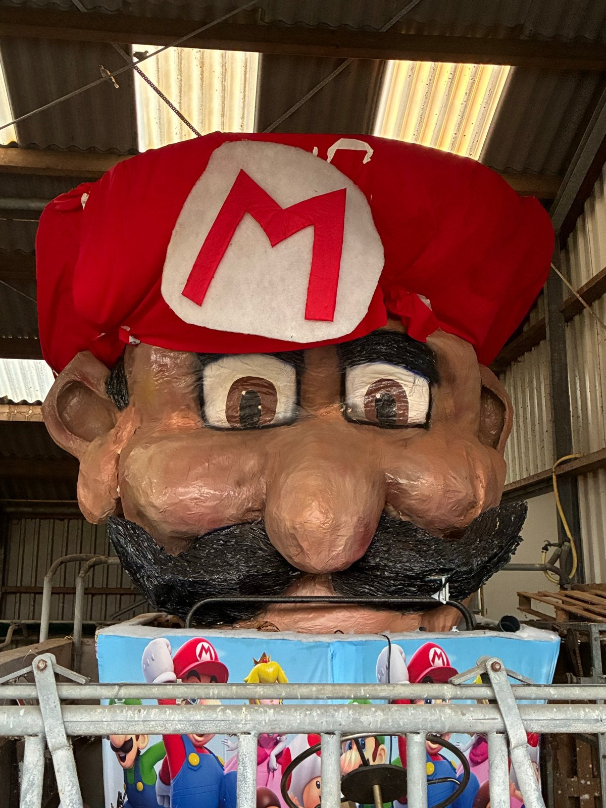 Carnavalskop - Mario, Ophalen, Gebruikt, Overige typen, Carnaval