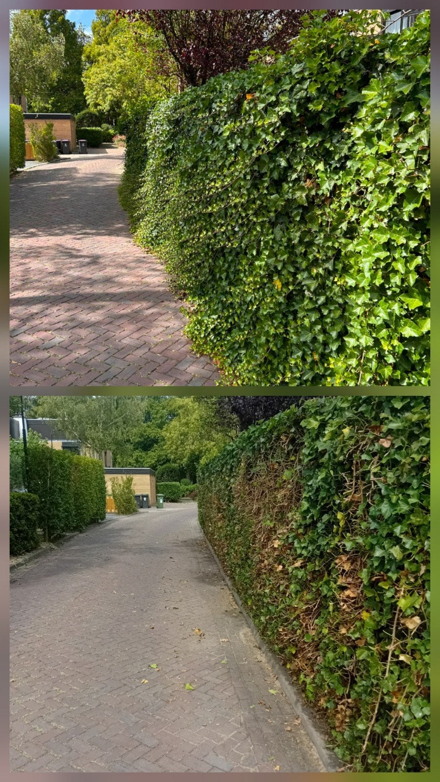Tuinman/hovenier/tuinhulp gezocht/aangeboden, Diensten en Vakmensen, Tuinmannen en Stratenmakers, Garantie, Tuinonderhoud of Snoeiwerk