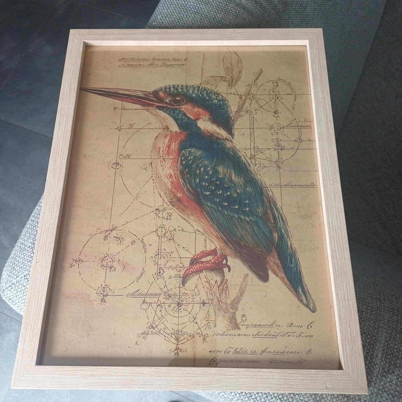 Ingelijste IJsvogel Print - Vintage Stijl, Ophalen of Verzenden, Zo goed als nieuw, Minder dan 50 cm, Print