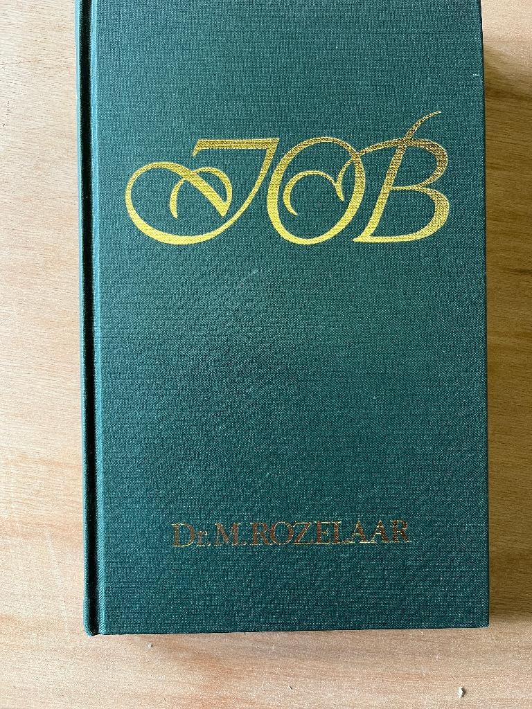 boek:  Job, Marc Rozelaar, Ophalen of Verzenden, Gelezen, Marc Rozelaar