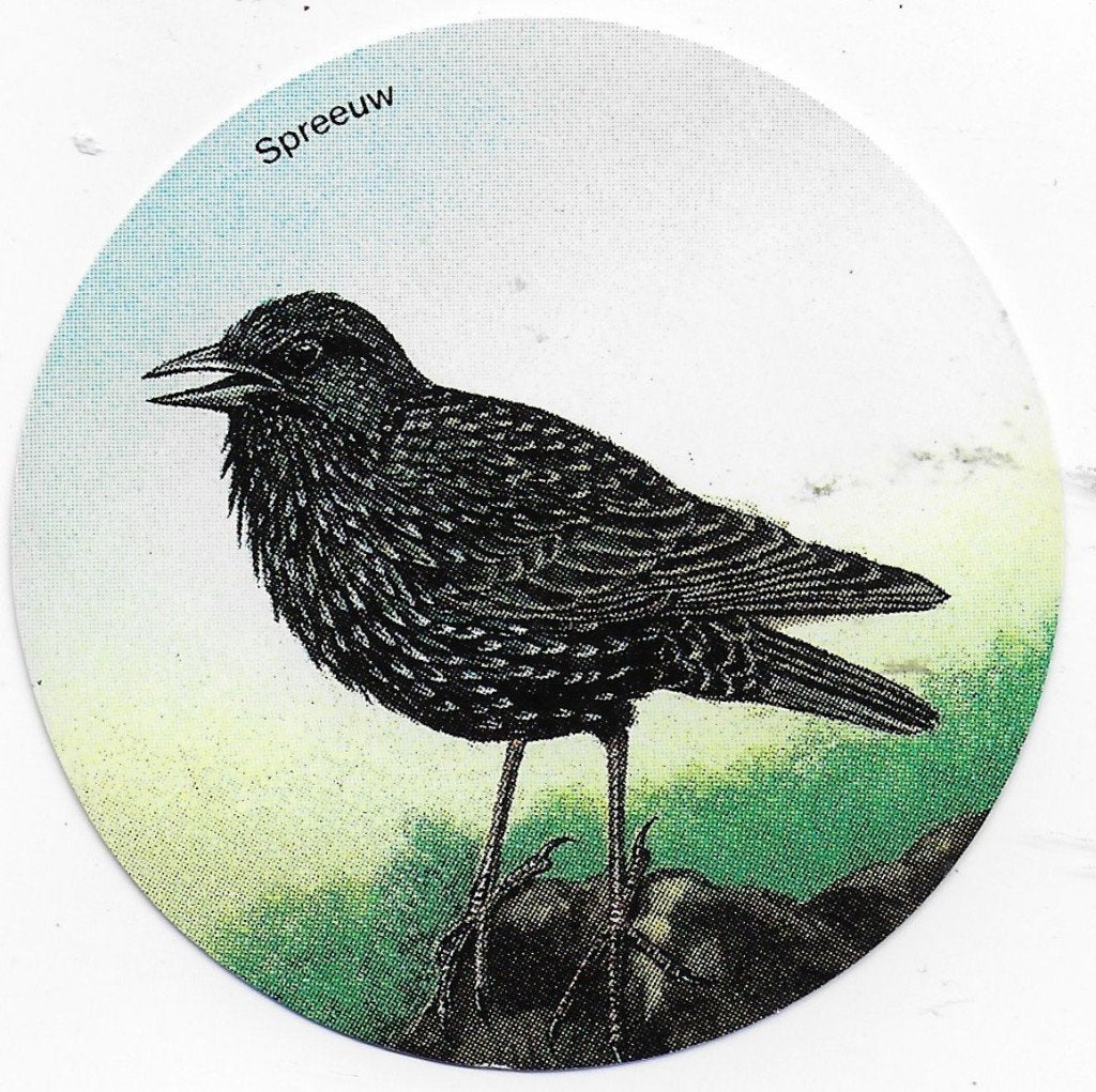 so313 Sticker: Vogel Spreeuw, Ophalen of Verzenden, Zo goed als nieuw