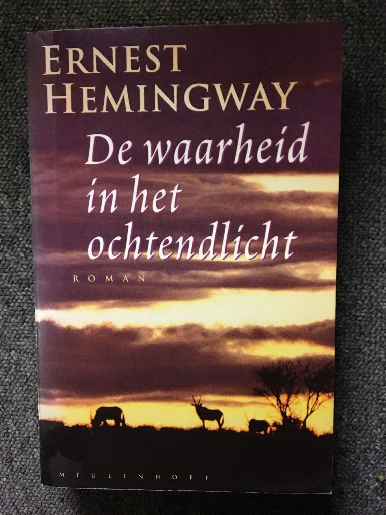 De waarheid in het ochtendlicht; door Ernest Hemingway, Boeken, Gelezen, Ernest Hemingway, Ophalen of Verzenden, Amerika