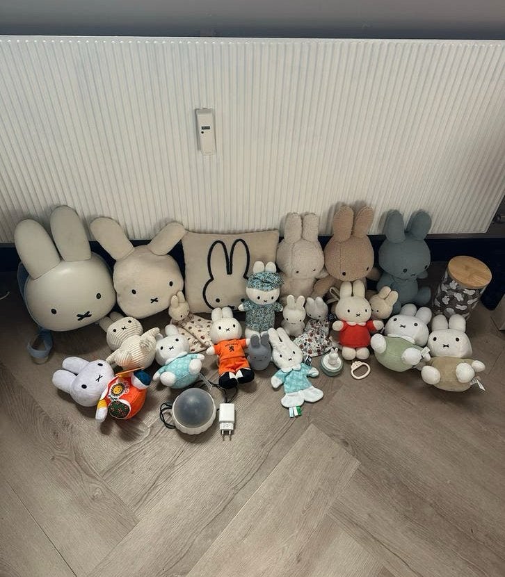 Grote collectie Nijntje knuffels en accessoires, Ophalen, Gebruikt, Overige merken, Konijn
