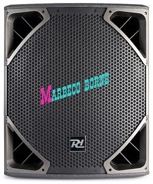 Actieve Subwoofer speaker,Versterker 15 inch, PD615SA Pro, Audio, Tv en Foto, Luidsprekers, Subwoofer, Info@marbeco.nl, Basreflex