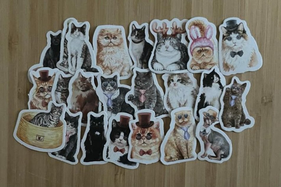 Katjes stickers, Verzenden, Nieuw, Meerdere stickers