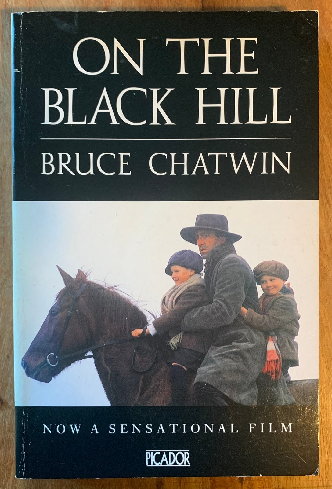 Bruce Chatwin - On the Black Hill, Boeken, Romans, Gelezen, Ophalen of Verzenden