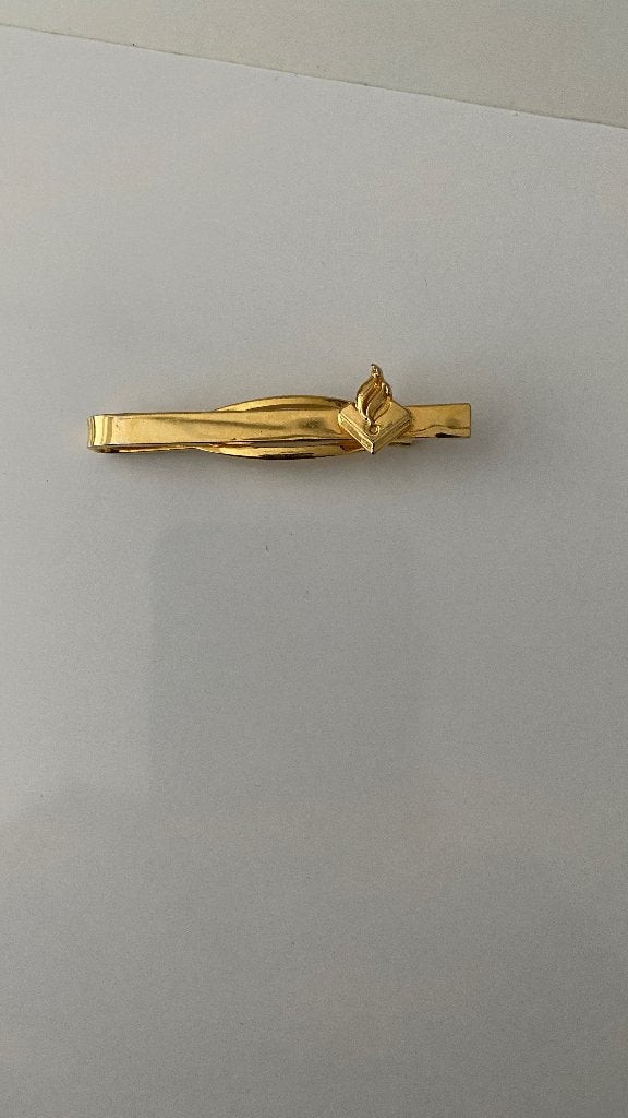 Gouden dasspeld met uniek detail, Onbekend, Ophalen of Verzenden, Zo goed als nieuw, Overige kleuren