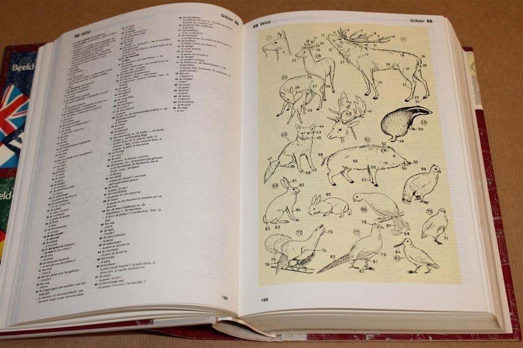 Wolters' Beeldwoordenboek Frans-Nederlands — Thematisch, Boeken, Ophalen of Verzenden, Gelezen, Van Dale, Frans