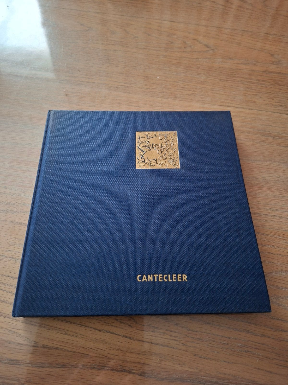 Punkt und Linie / Tekenen als creatief spel - Canteclaer, Ophalen of Verzenden, Zo goed als nieuw, Boek of Gids
