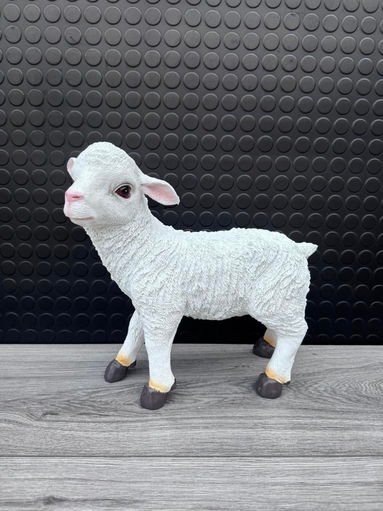 lammetje, Woondecoratie eindhoven, Nieuw, Ophalen of Verzenden, Woondecoratie eindhoven
