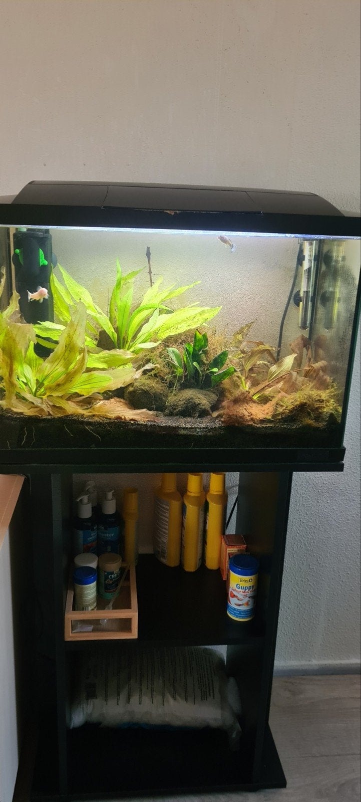 Superfish Aquarium Led 60 l, plus superfish 16 liter, Ophalen, Gebruikt, Gevuld zoetwateraquarium