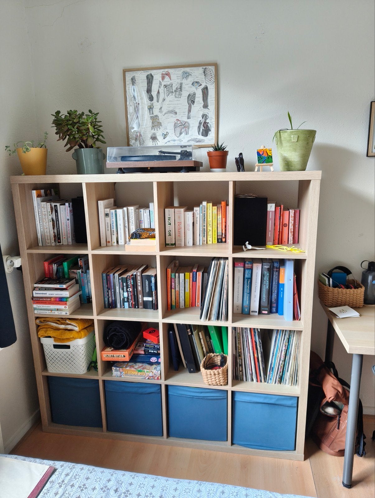 Open Kast KALLAX 4x4 Ikea, Ophalen, 100 tot 150 cm, Zo goed als nieuw, 150 tot 200 cm