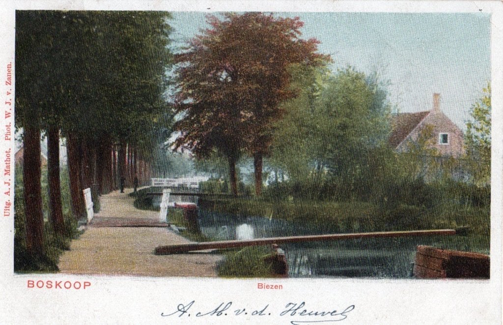 Boskoop, Dorpsgezicht met de Biezen. 6824, Verzenden, Voor 1920, Gelopen, Zuid-Holland