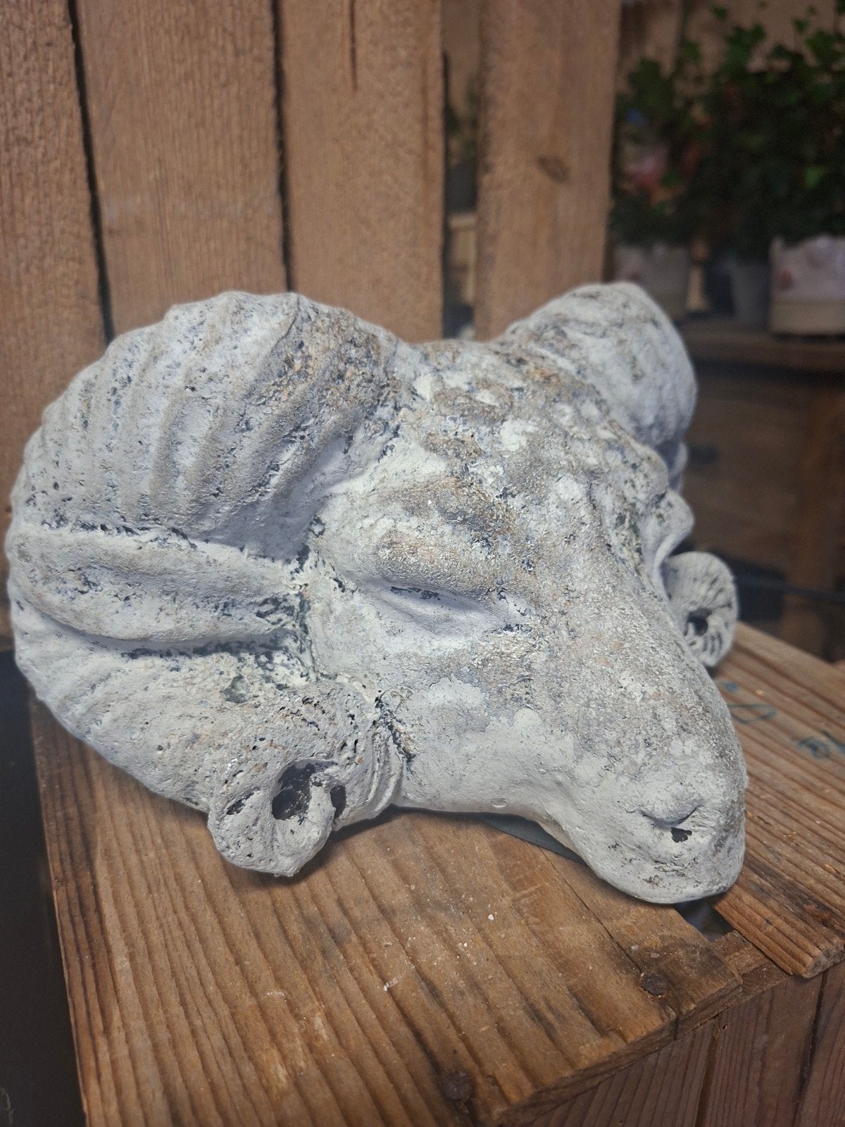 Stoere Stenen Ram Kop, Huis en Inrichting, Woonaccessoires | Overige, Ophalen, Gebruikt, Landelijk, Grijs