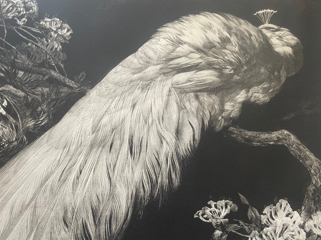Litho A.J. van ‘t Hoff, Ophalen of Verzenden, Lithografie, Dieren en Natuur, Gesigneerd in de plaat