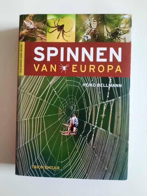 Spinnen van Europa . Heiko Bellmann, Boeken, Natuur, Ophalen of Verzenden, Zo goed als nieuw, Overige onderwerpen, Heiko Bellmann