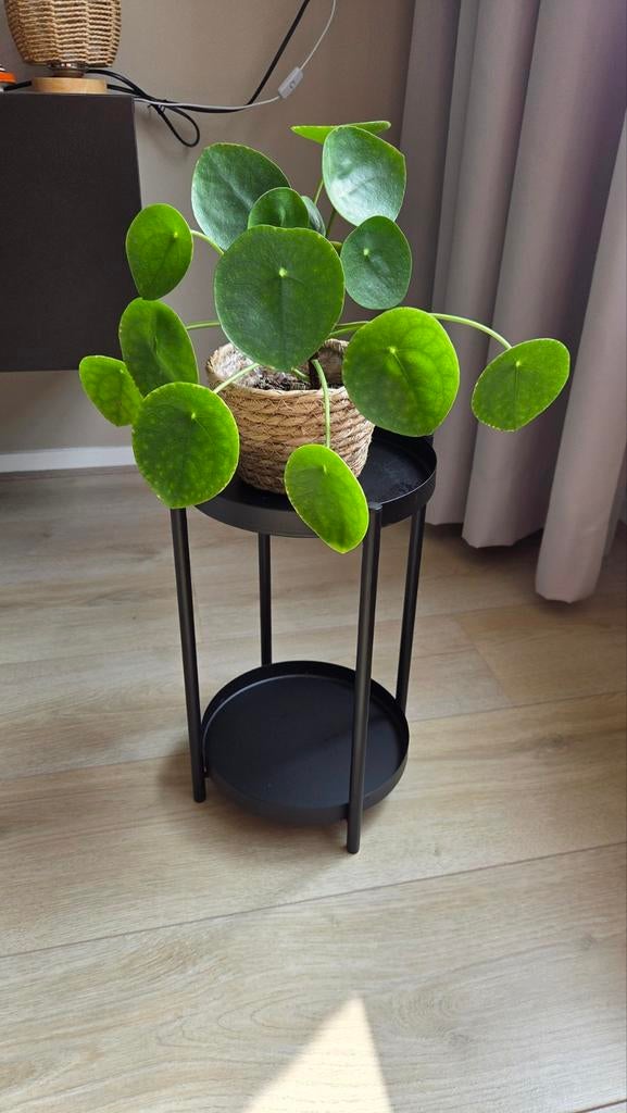 Zwart metalen plantentafel 2-laags – IKEA, Minder dan 45 cm, Minder dan 55 cm, Metaal of Aluminium, Rond