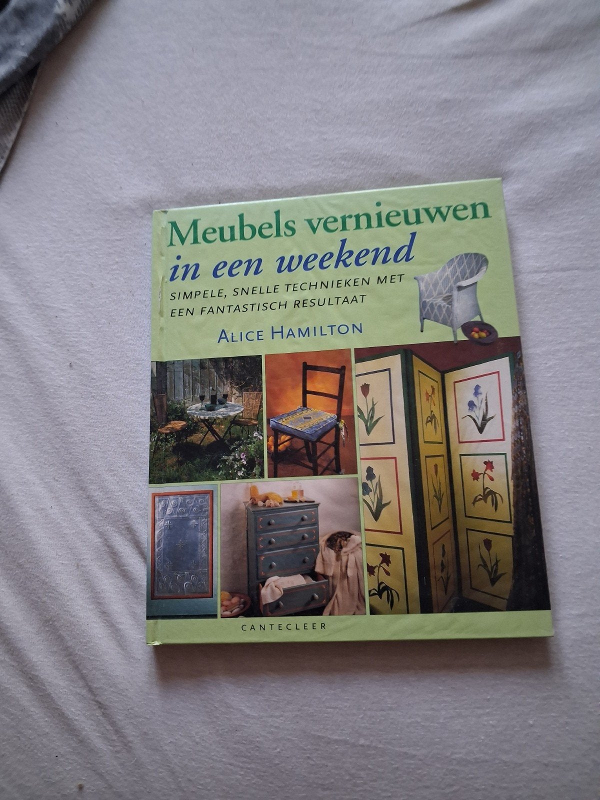 Te koop boek om meubels vernieuwen in een weekend., Ophalen of Verzenden, Interieur en Design