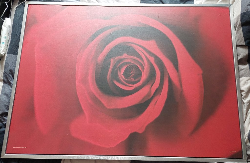 Ikea Print Rode Roos 100 x 140 cm, Huis en Inrichting, Woonaccessoires | Schilderijen, Tekeningen en Foto's, Ophalen, Gebruikt