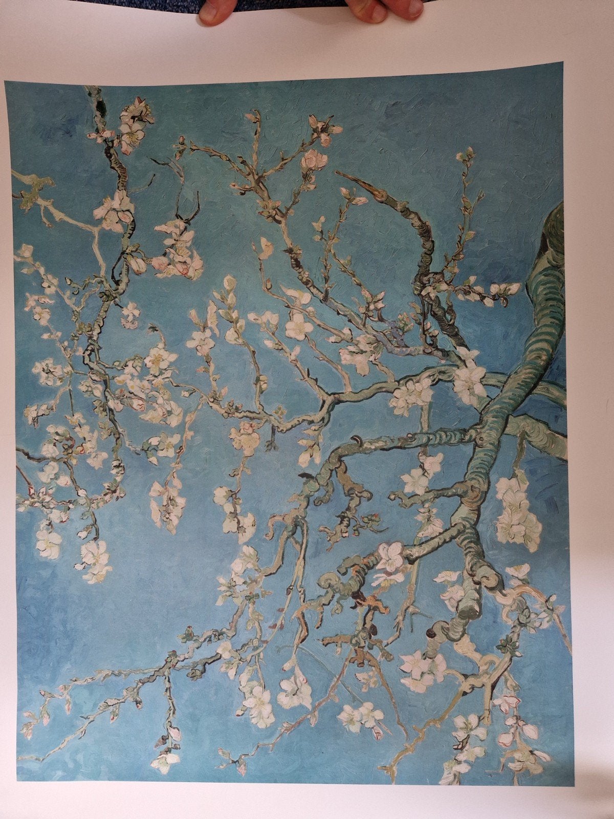 Van Gogh Amandelbloesem Print - Van Gogh Museum Amsterdam, Antiek en Kunst, Kunst | Schilderijen | Klassiek, Ophalen of Verzenden