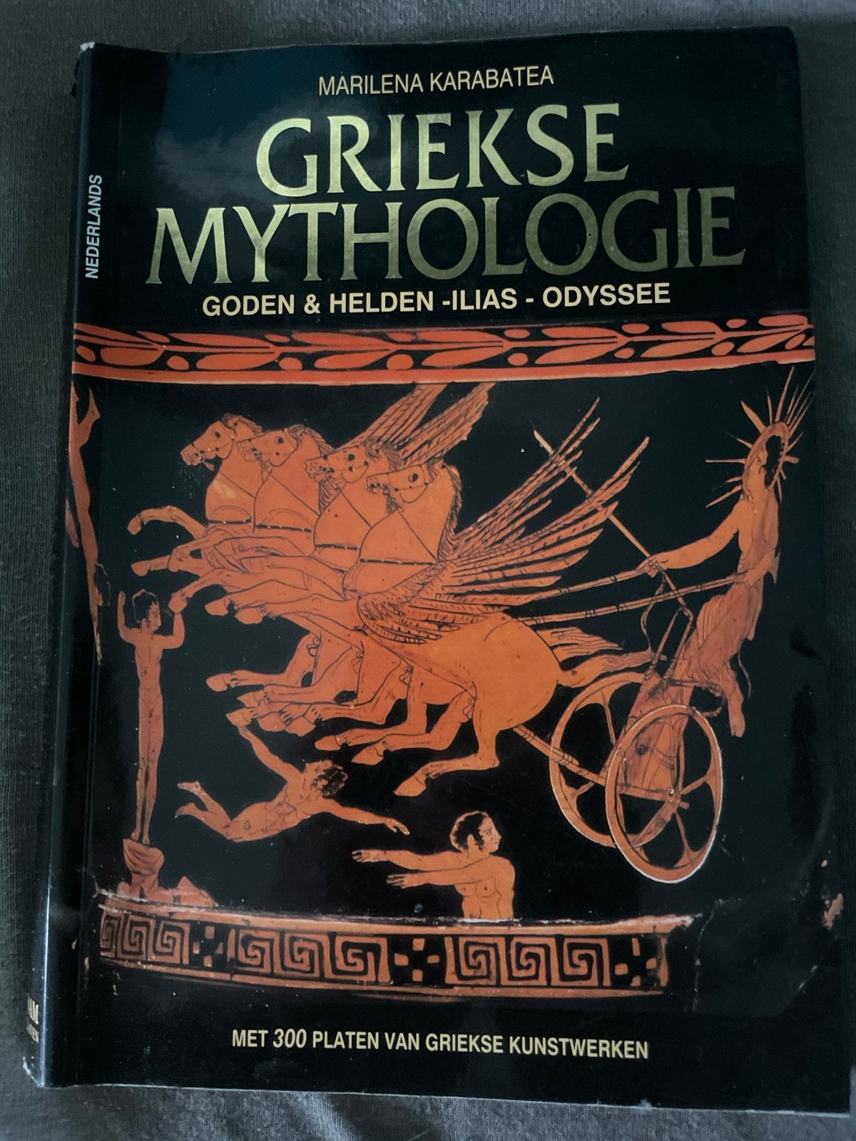 Griekse Mythologie: Goden & Helden - Ilias - Odyssee, Ophalen of Verzenden, Gelezen, Europa overig