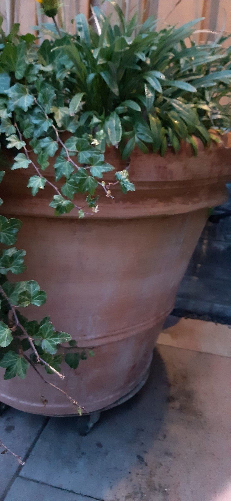 grote buiten bloempot, terracotta, Ophalen, Steen, Rond, 60 tot 100 cm