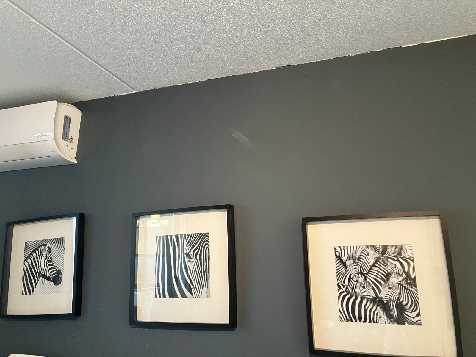 Set van 3 Zebra Schilderijen 50x50 cm van IKEA, Ophalen, 50 – 75, Zo goed als nieuw, Schilderij