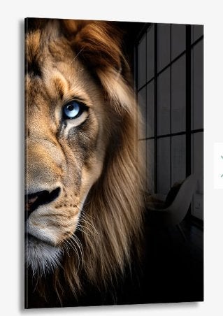 Glasschilderij Blue Eyed Lions 40x60 - Gehard glas, Ophangklaar, Glas, Ophalen of Verzenden, Dieren