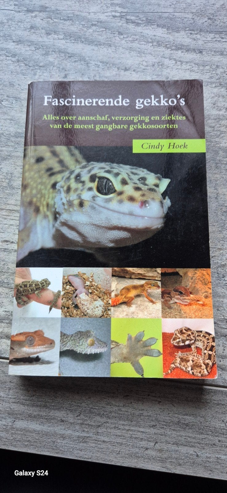 Fascinerende Gekko's - aanschaf, verzorging en zie, Boeken, Dieren en Huisdieren, Gelezen, Reptielen of Amfibieën, Ophalen of Verzenden
