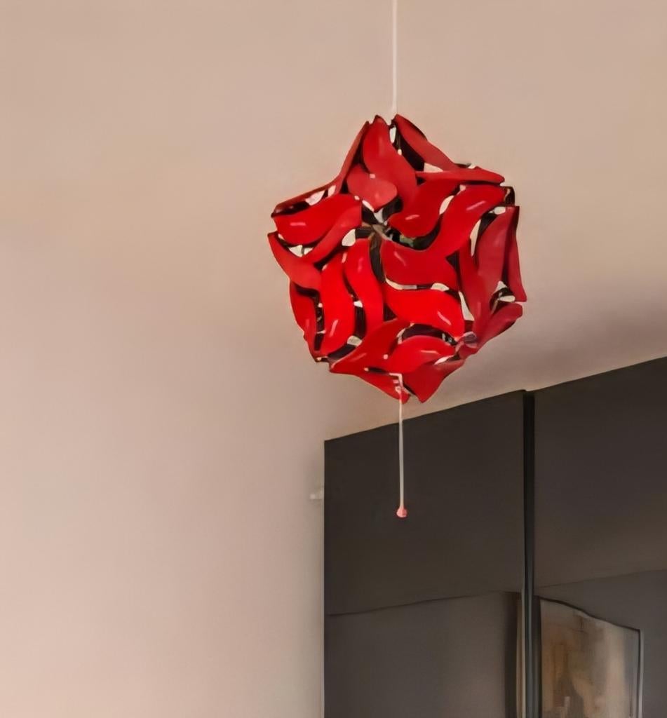 Unieke uitvouwbare lamp met rode vleugel design, Ophalen, Kunststof, Zo goed als nieuw, Modern, Speels, Uniek