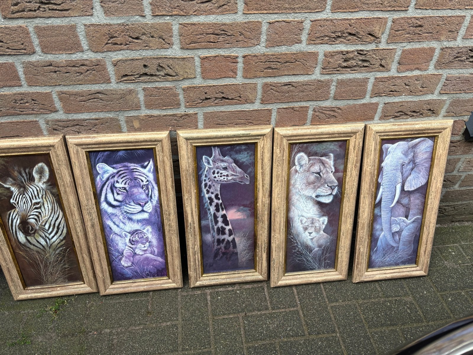 Set van 5 Afrikaanse Dieren Prints in Lijst, Ophalen, Minder dan 50 cm, Gebruikt, 50 tot 75 cm
