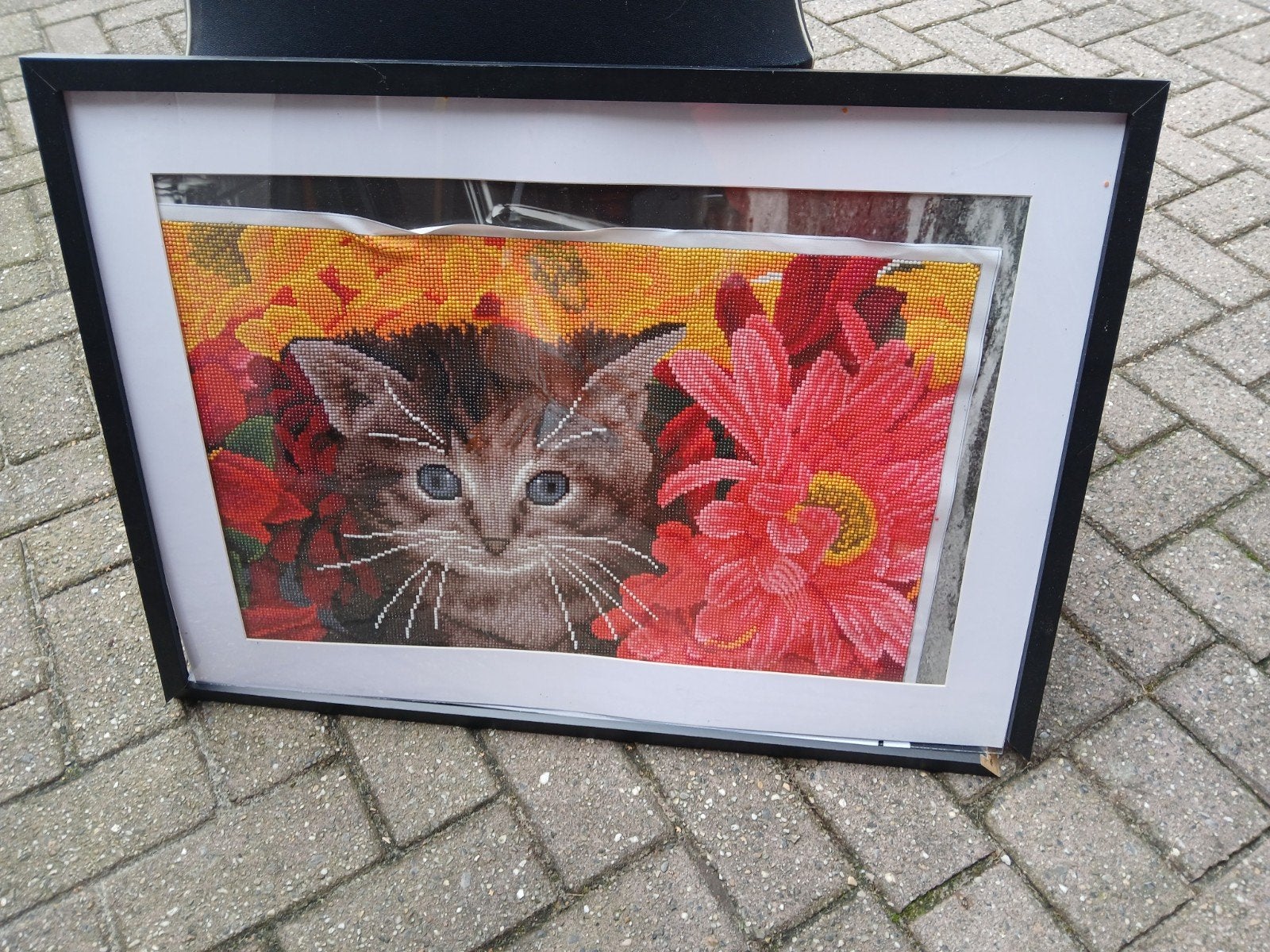 Zwarte fotolijst met afbeelding van scooter of kat, Kunststof, Gebruikt, Ophalen of Verzenden, Fotolijst
