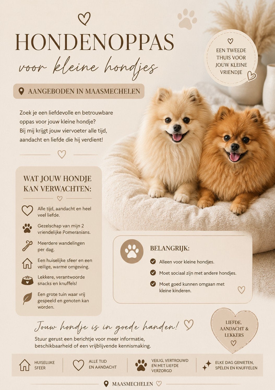 Hondenoppas kleine hondjes aangeboden, Ophalen, Hond
