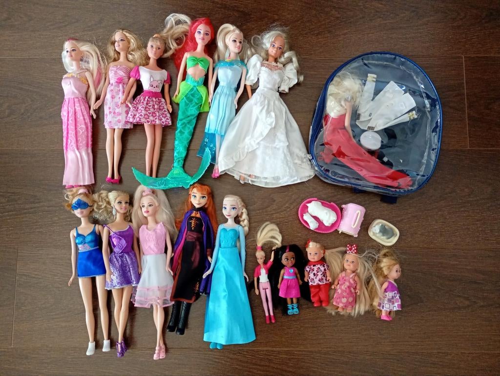 Grote collectie Barbie en Disney prinsessen poppen, Kinderen en Baby's, Speelgoed | Poppen, Ophalen of Verzenden, Gebruikt, Barbie