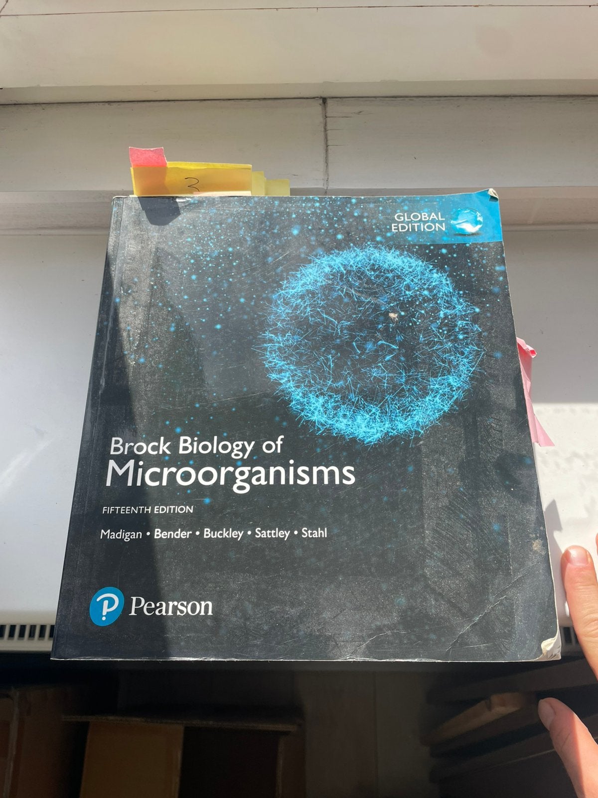 Brock Biology of Microorganisms 15é, Gelezen, David A. StahlKelly S. BenderDaniel H. BuckleyW. Matthew Sattley, Ophalen of Verzenden