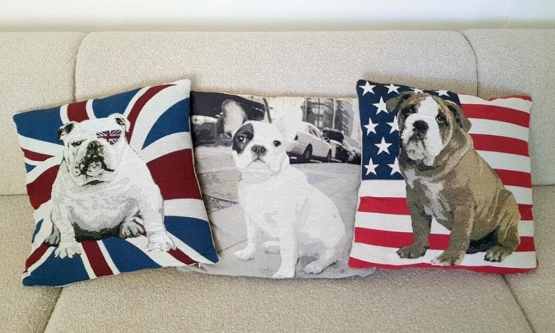 3 kussentjes BULLDOG (hoesje+binnenkussen 45x45) in 1 koop, Ophalen of Verzenden, Nieuw, Hond of Kat, Overige typen