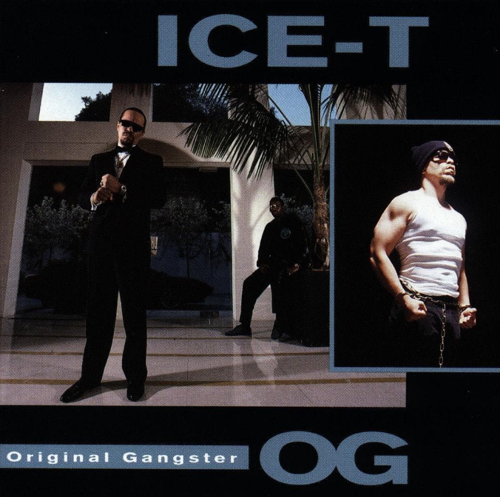 Ice-T - O.G. (Original Gangster) CD, Verzenden, Zo goed als nieuw, Album