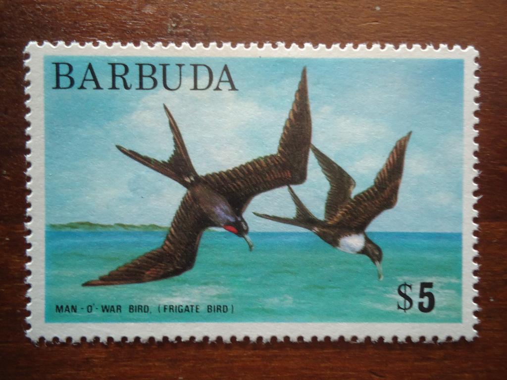 Fregat vogels Barbuda 1975, mi. 201 postfris, Ophalen of Verzenden, Postfris, Dier of Natuur