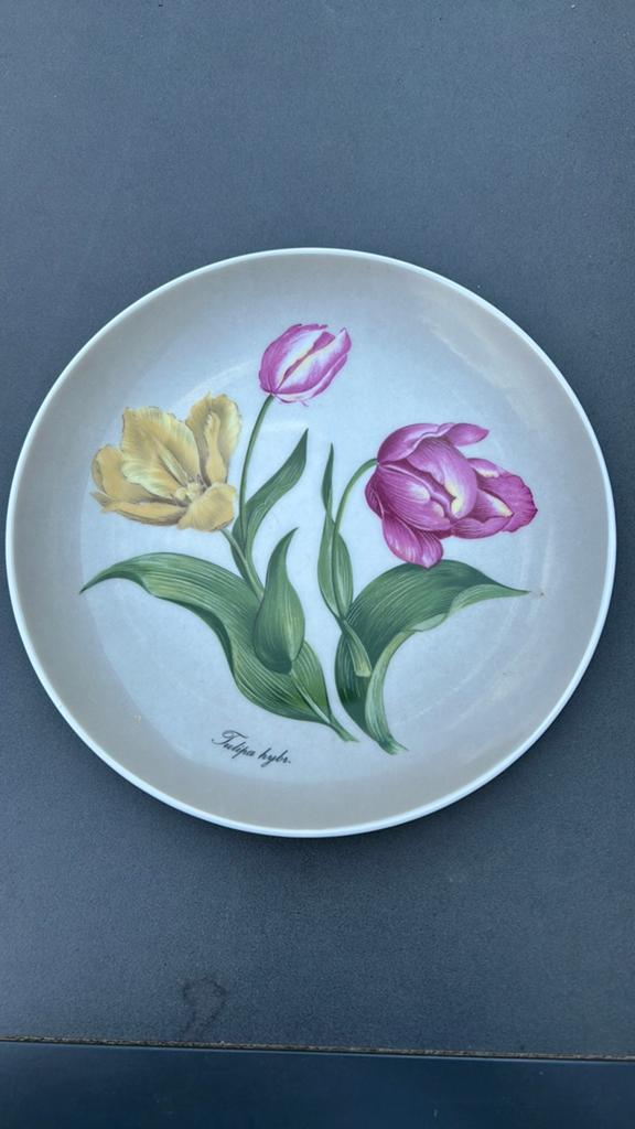 Wandbord Kaiser- West Duitsland- Tulp- Porselein., Ophalen of Verzenden