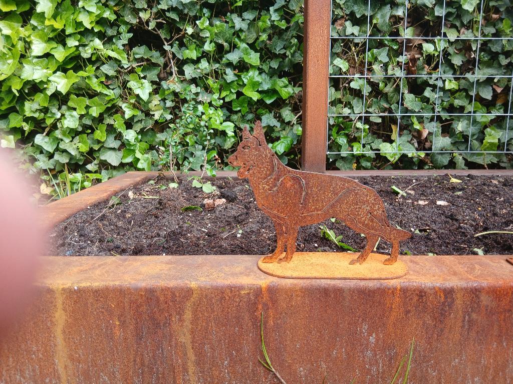Tuindecoratie cortenstalen herdershond, Tuin en Terras, Ophalen of Verzenden, Nieuw, Metaal, Overige typen