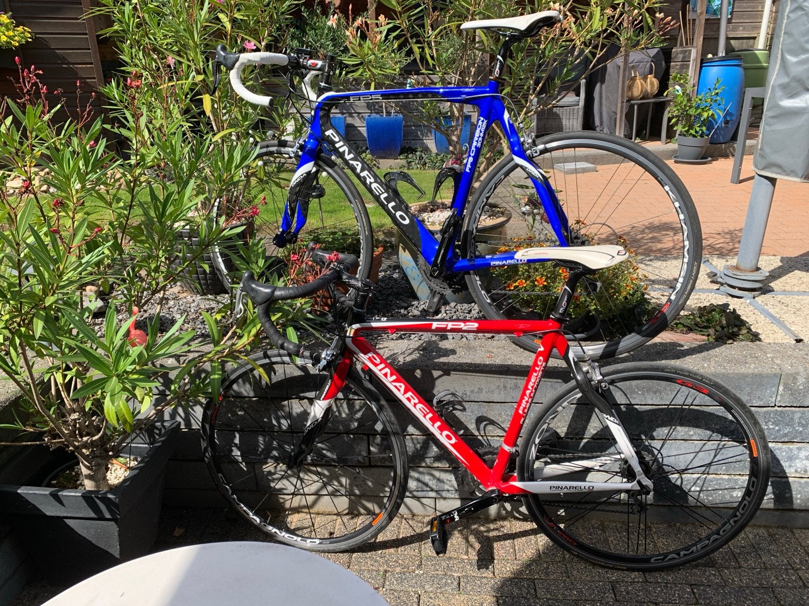 Pinarello racefietsen: FP2 rood en FP5 carbon blauw, 28 inch, Gebruikt, Carbon, Meer dan 20 versnellingen