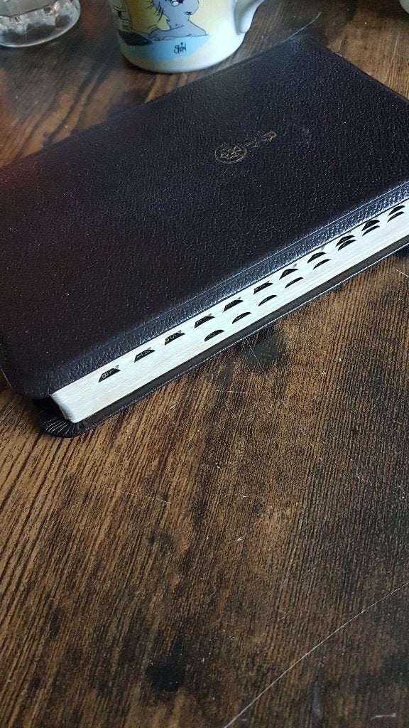 Major BIJBEL vertaling in opdracht v/h NBG,saffiaan lederen, Verzenden, NBG
