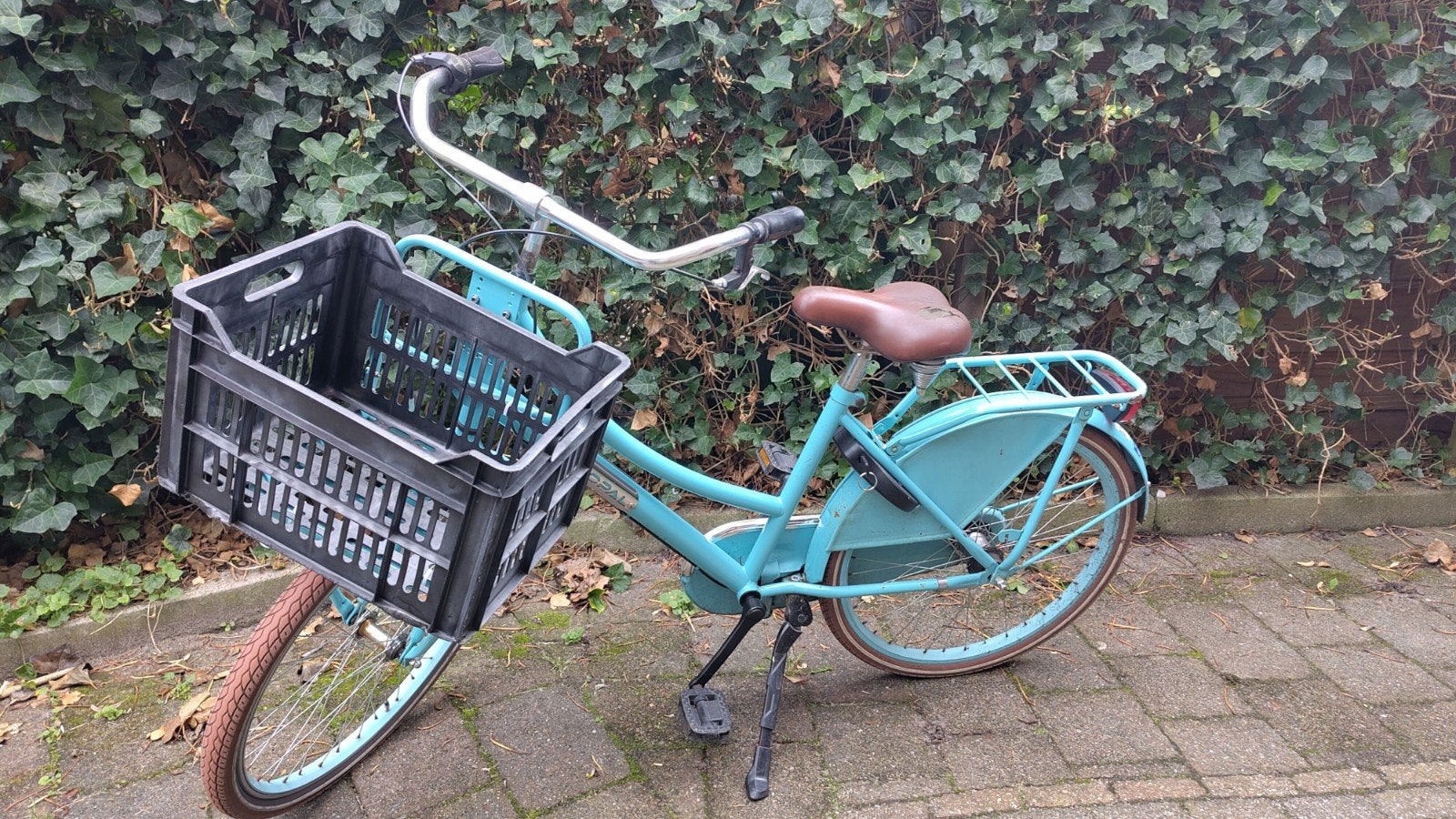 Meisjesfiets, Ophalen, Gebruikt, 24 inch, Popal
