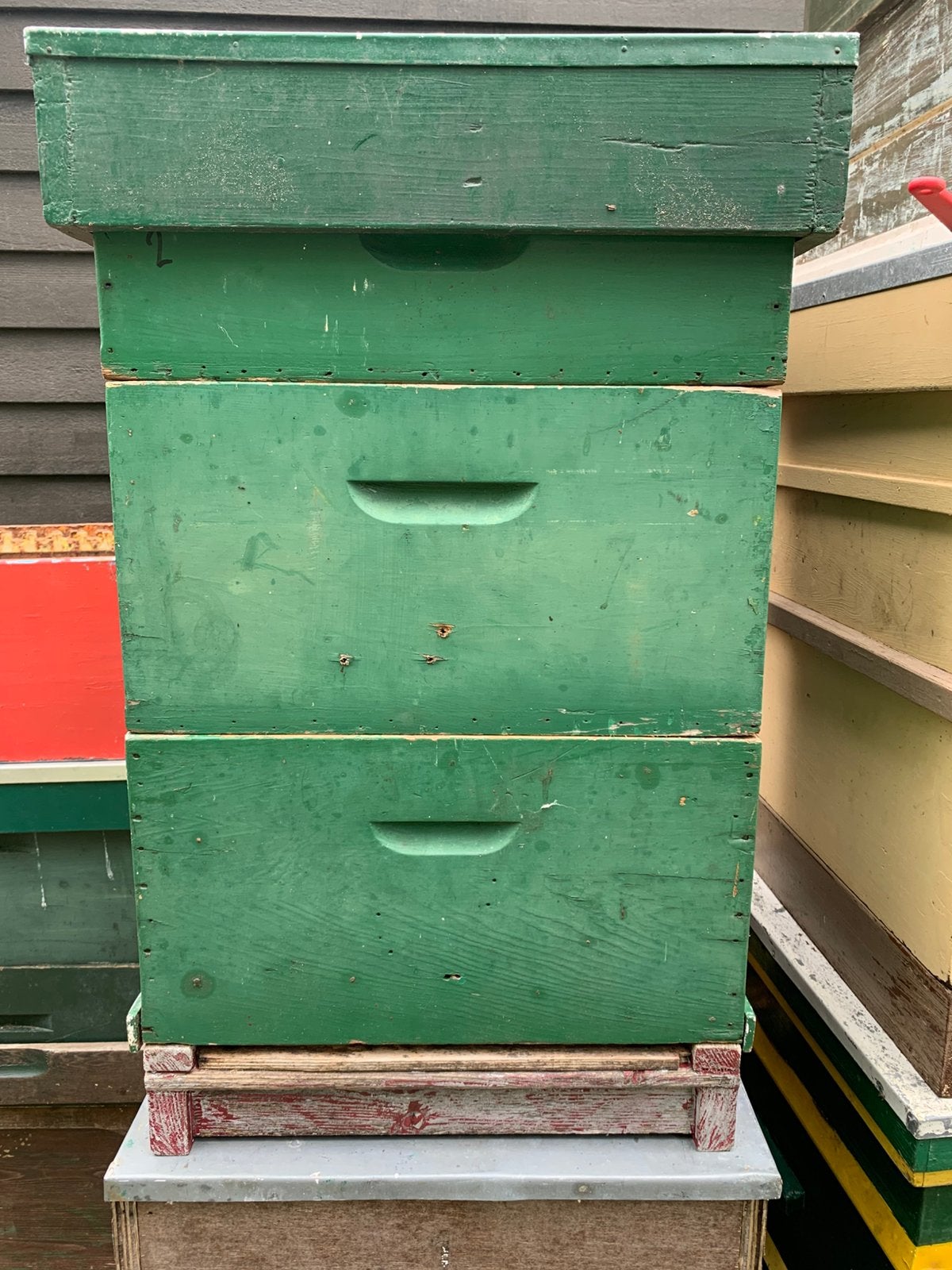 2e hands soaarkast, Dieren en Toebehoren, Bijen